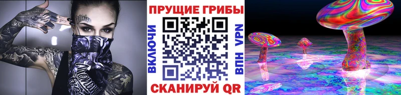 купить наркоту  Звенигород  Галлюциногенные грибы мухоморы 