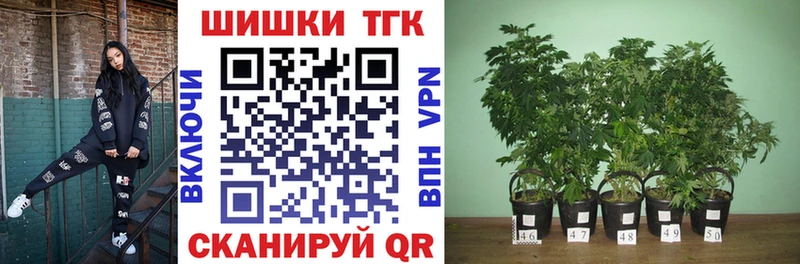 купить наркотики сайты  Звенигород  Бошки Шишки OG Kush 